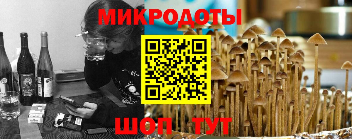 Псилоцибиновые грибы мухоморы Зеленодольск